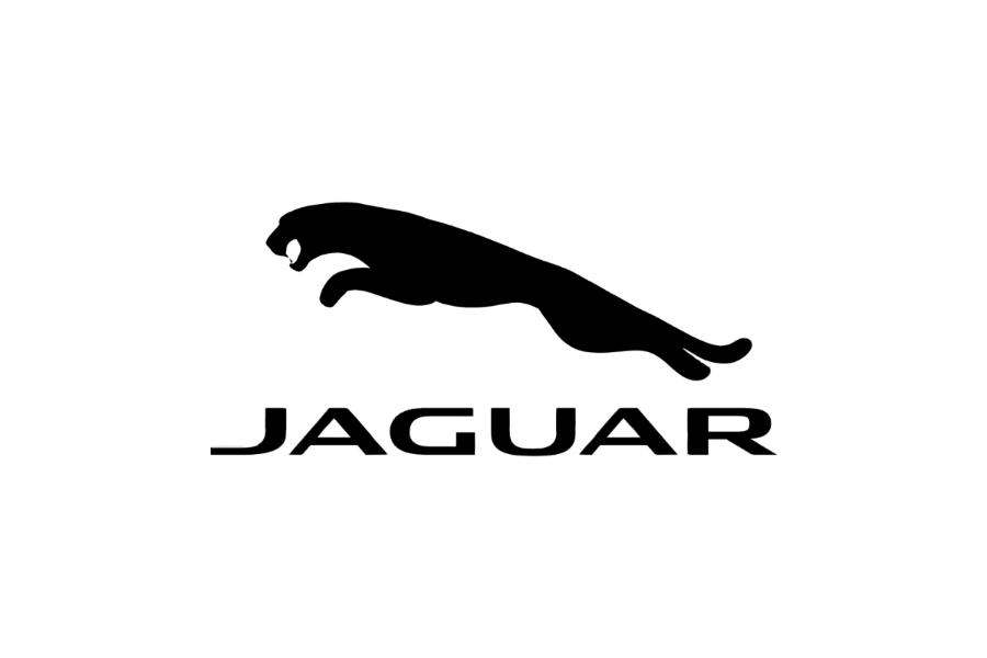 Picture for category Jaguar